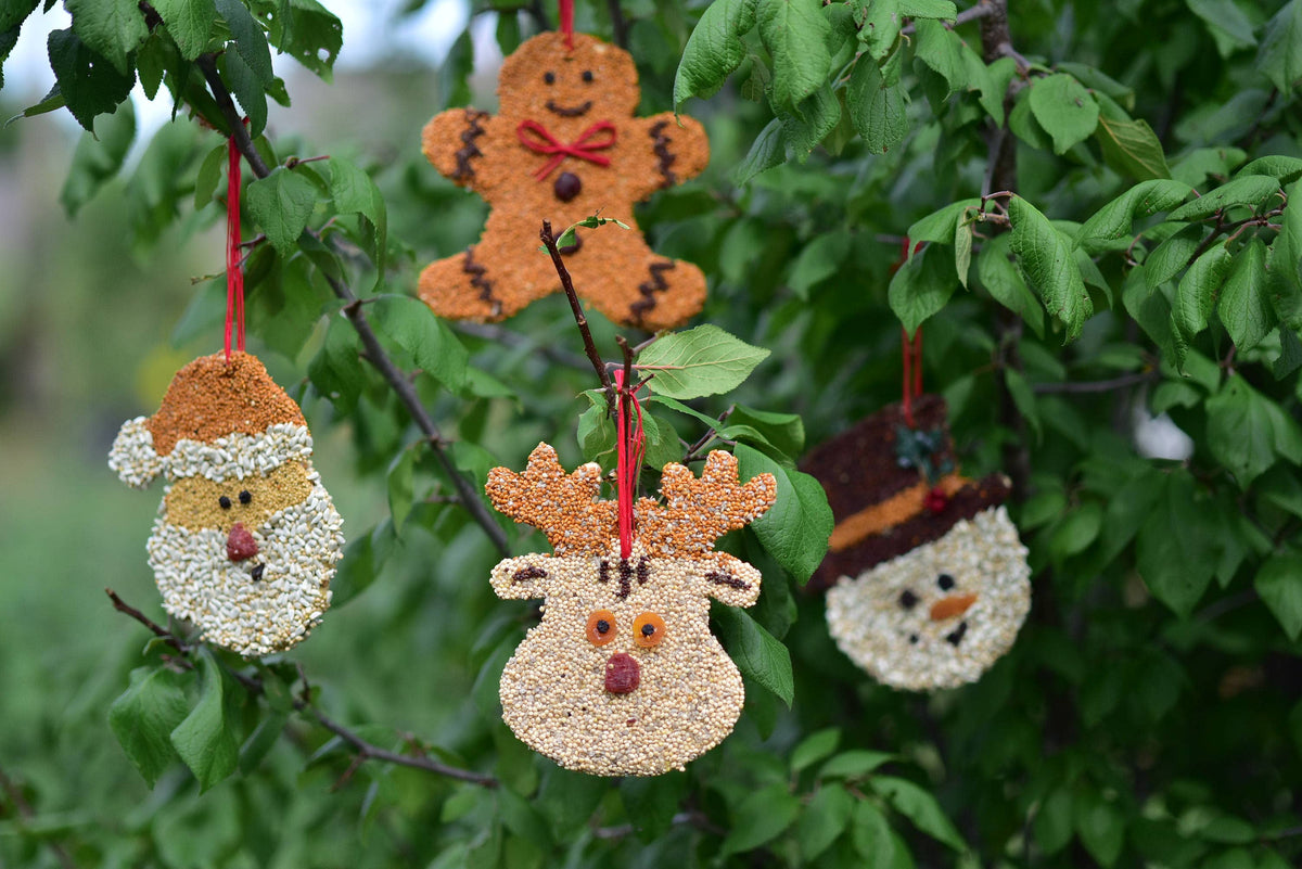Mr Bird - Rudolph Christmas Cookie