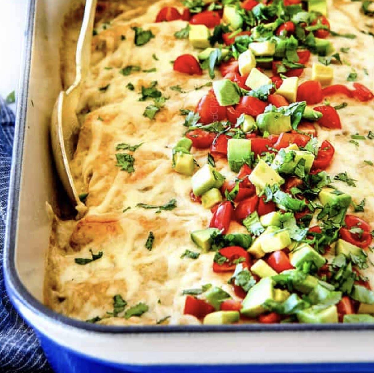 Davis & Davis Gourmet Foods - Weeknight Chicken Enchilada
