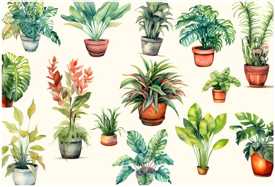 All Over Plants