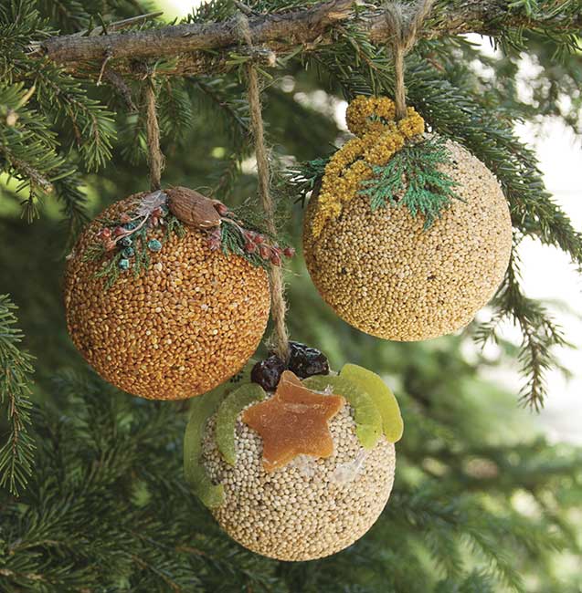 Mr Bird - Fruit Ornament Trio