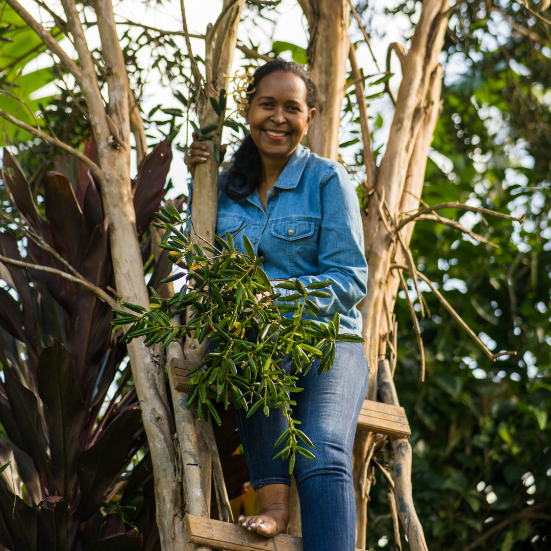 Whole Caribbean Bay Leaves - Spice & Seasoning