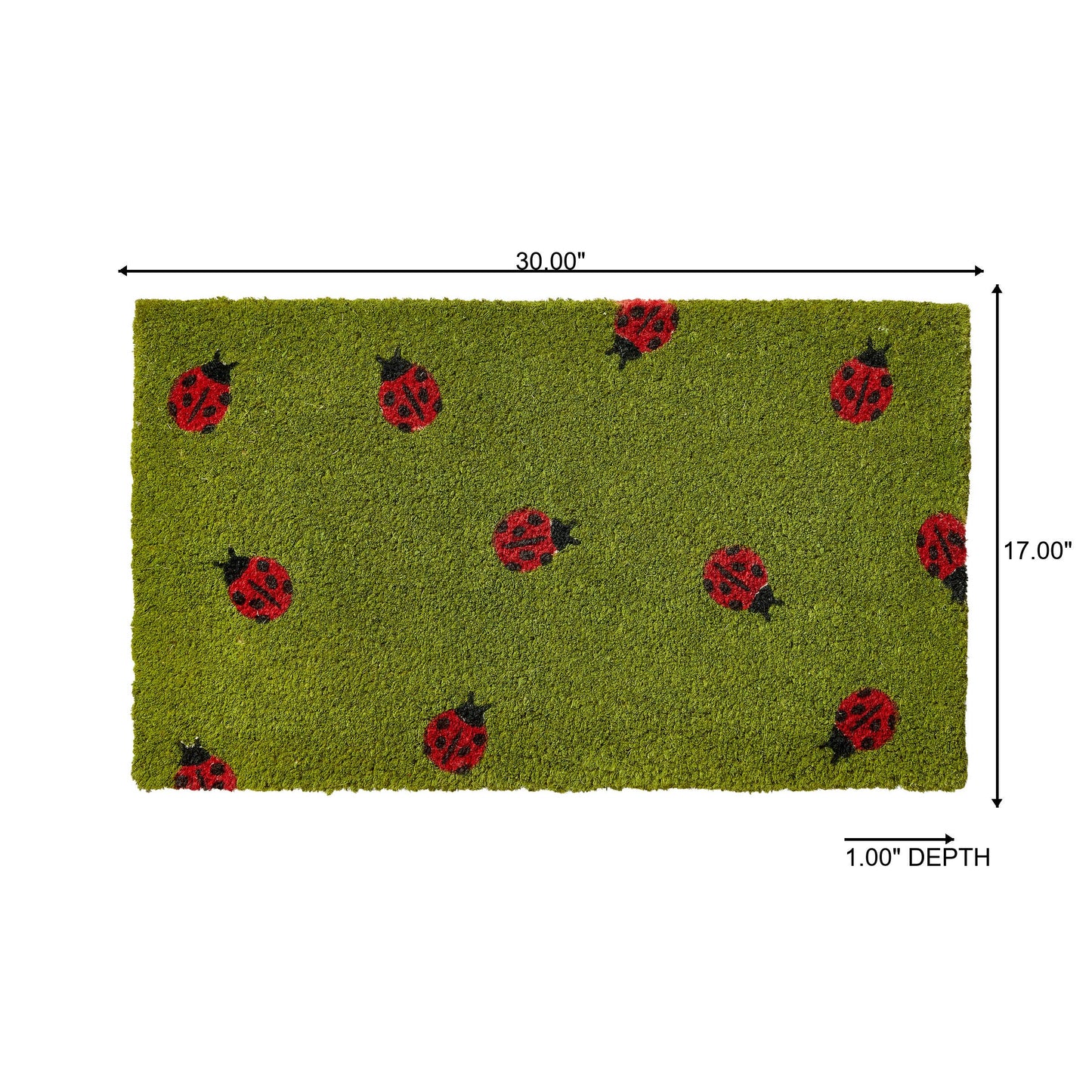 Ladybug Coir Mat Green Multi Summer