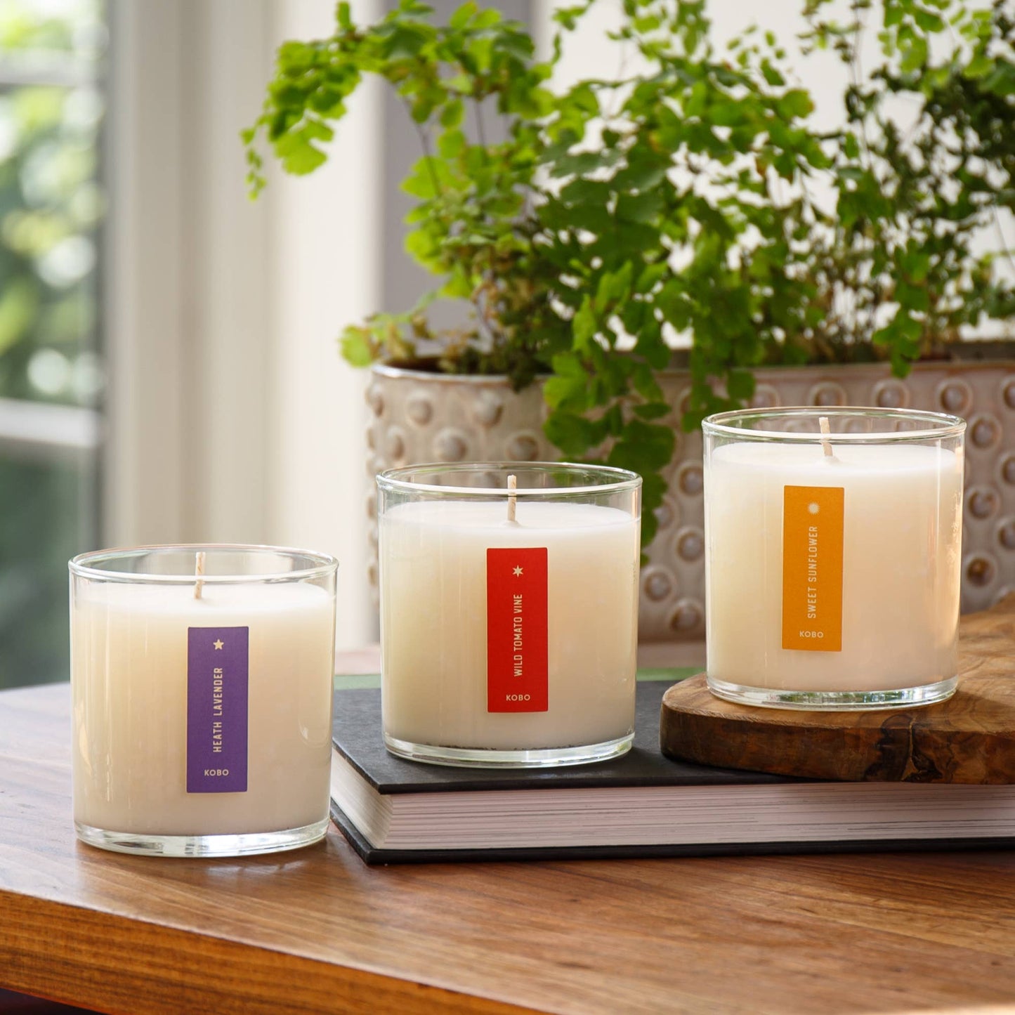KOBO - Heath Lavender - Plant the Box Candle - 9oz.