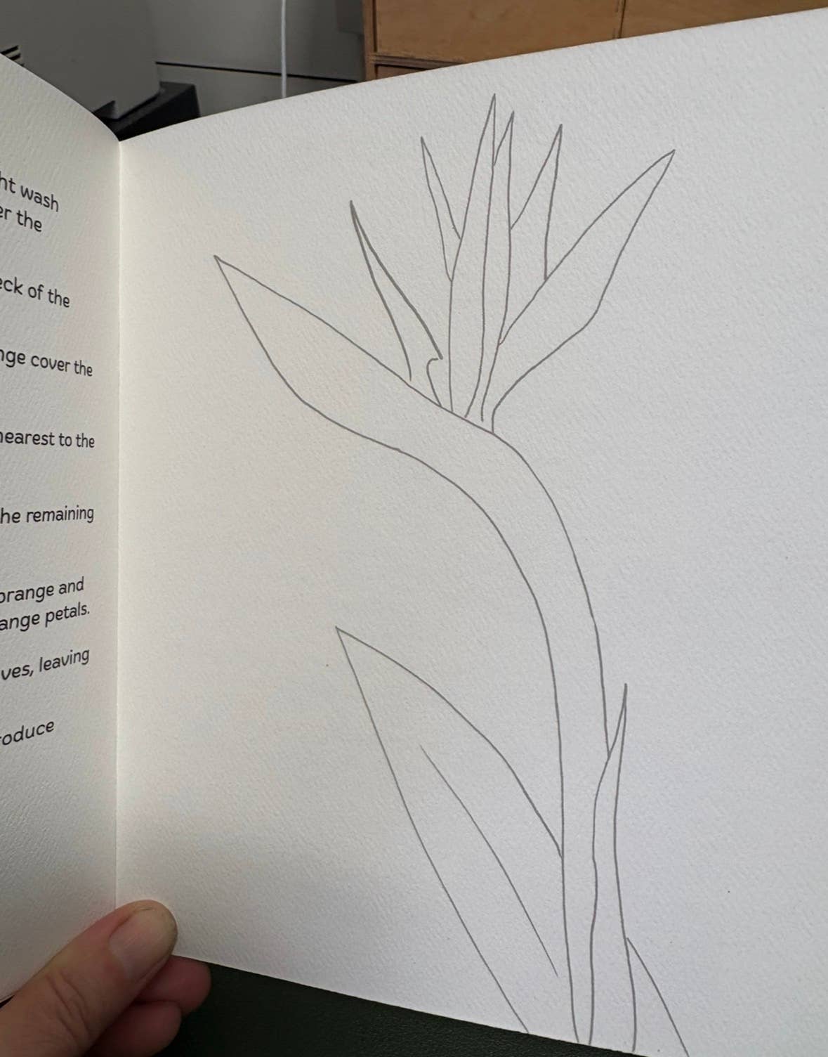Flowers Watercolor Workbook