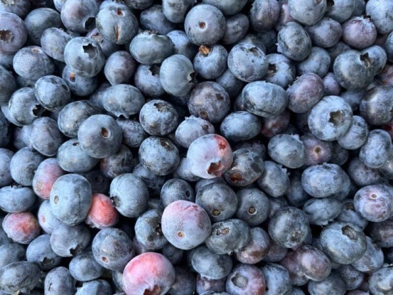 Runamok - *LIMITED Blueberry + Lemon Infused Organic Maple Syrup 250ml
