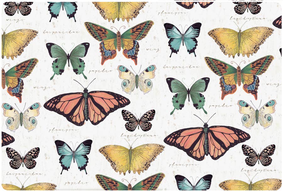 Andreas - GG Butterfly