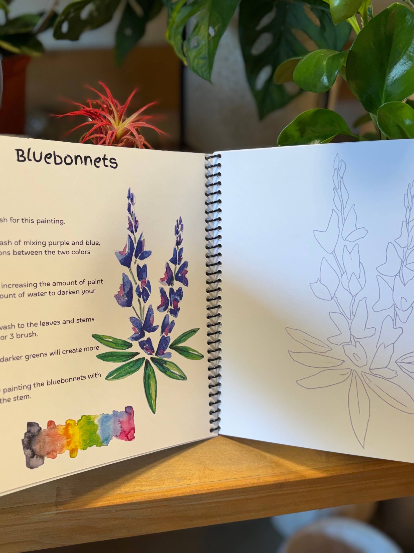 Texas Watercolor Workbook 