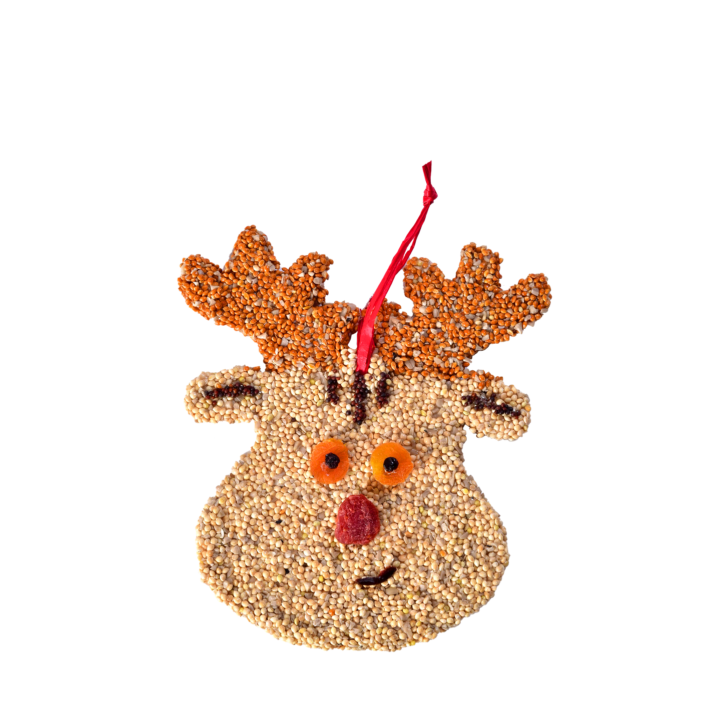 Mr Bird - Rudolph Christmas Cookie