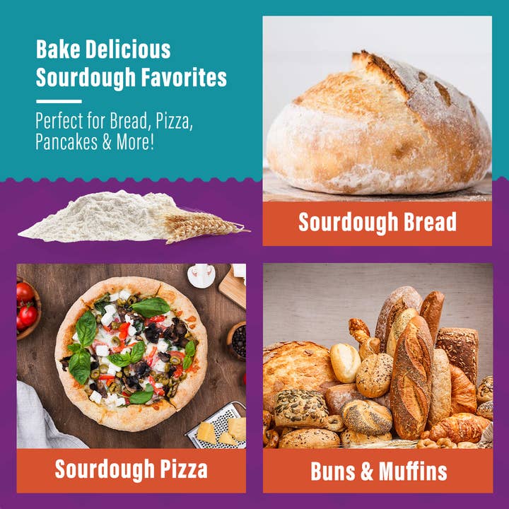 My Rustic Roots - Organic, Non-GMO Sourdough Starter | Freeze Dried |  12gm