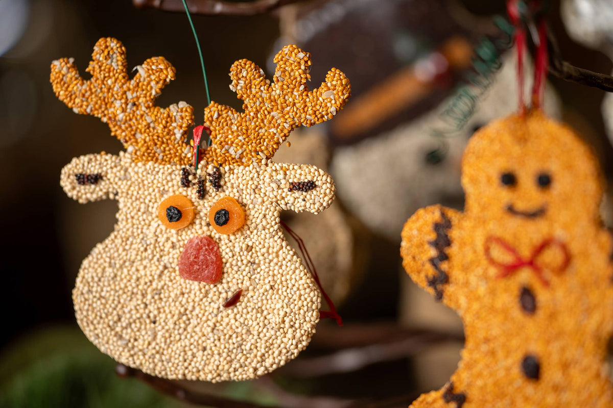 Mr Bird - Rudolph Christmas Cookie