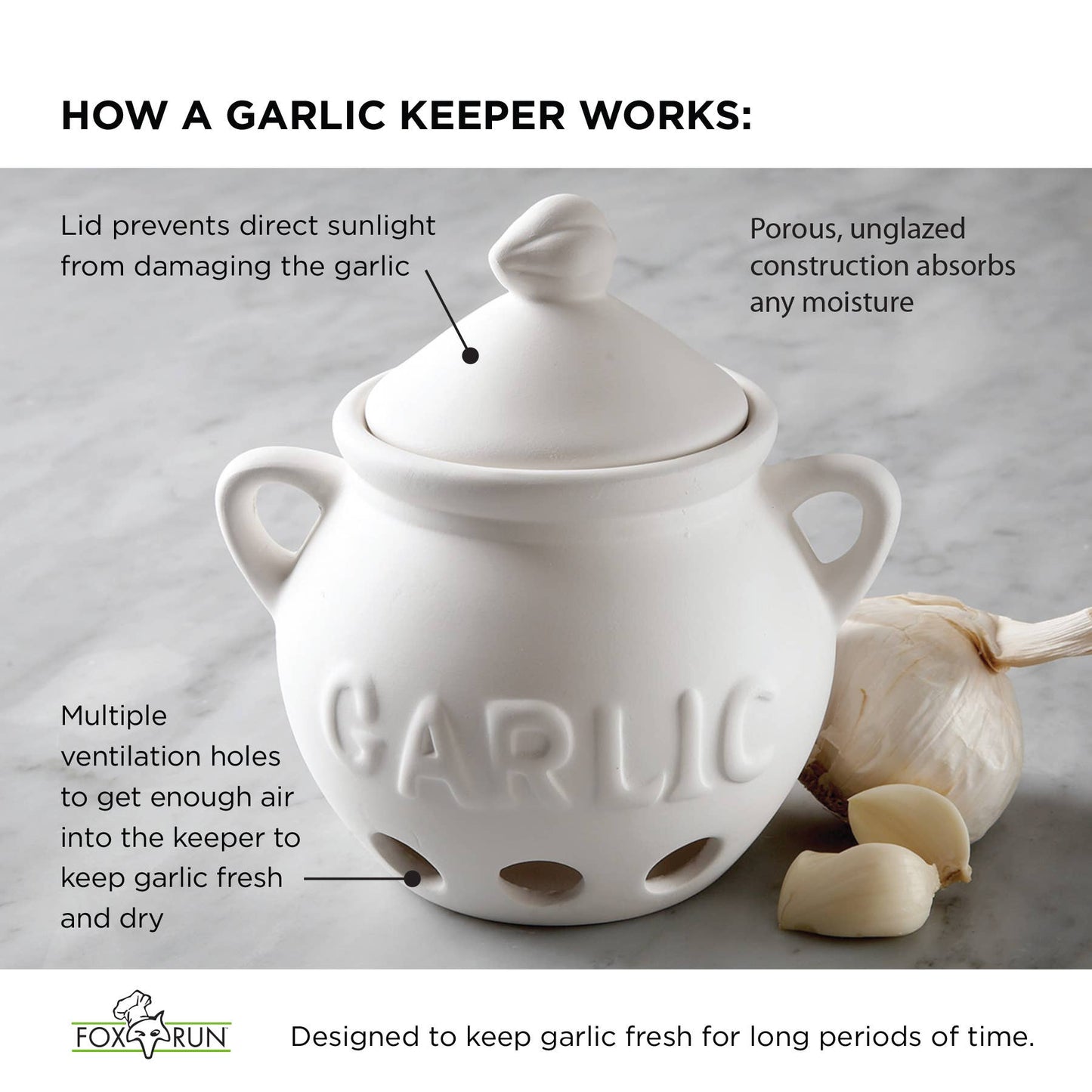 Fox Run Garlic Keeper, Terra Cotta, 4.25" x 5.25"