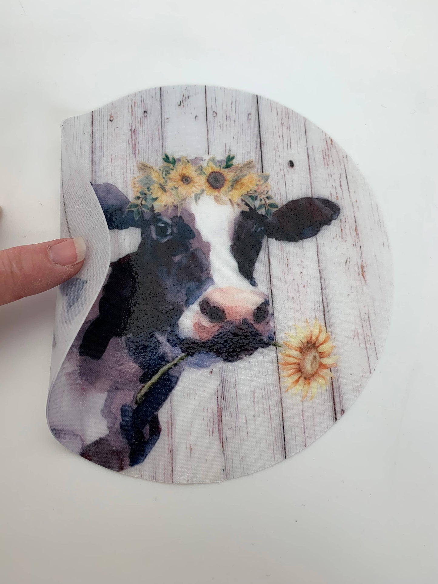 Andreas - Cow Flower