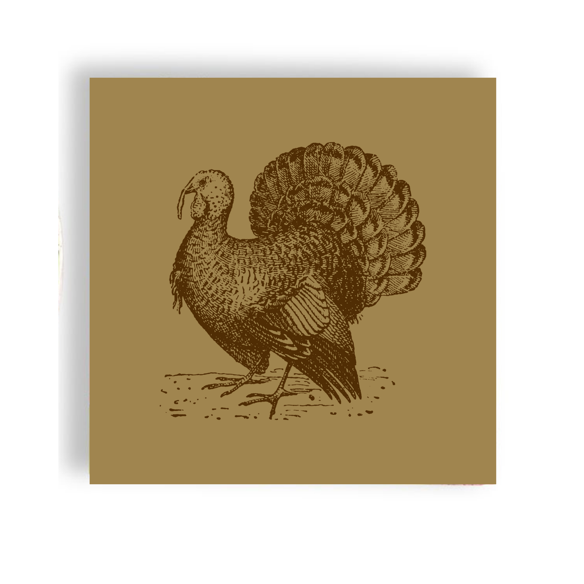 Thanksgiving 24ct Luncheon Napkin Separates(3ply)