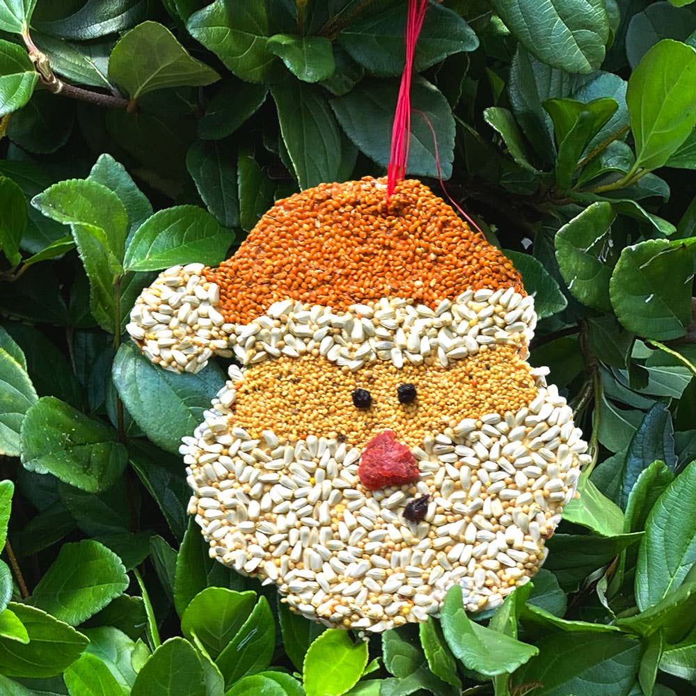 Mr Bird - Santa Christmas Cookie