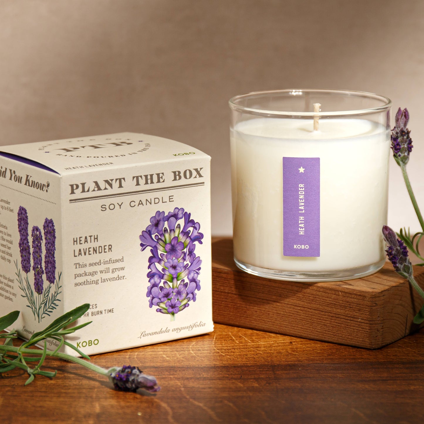 KOBO - Heath Lavender - Plant the Box Candle - 9oz.