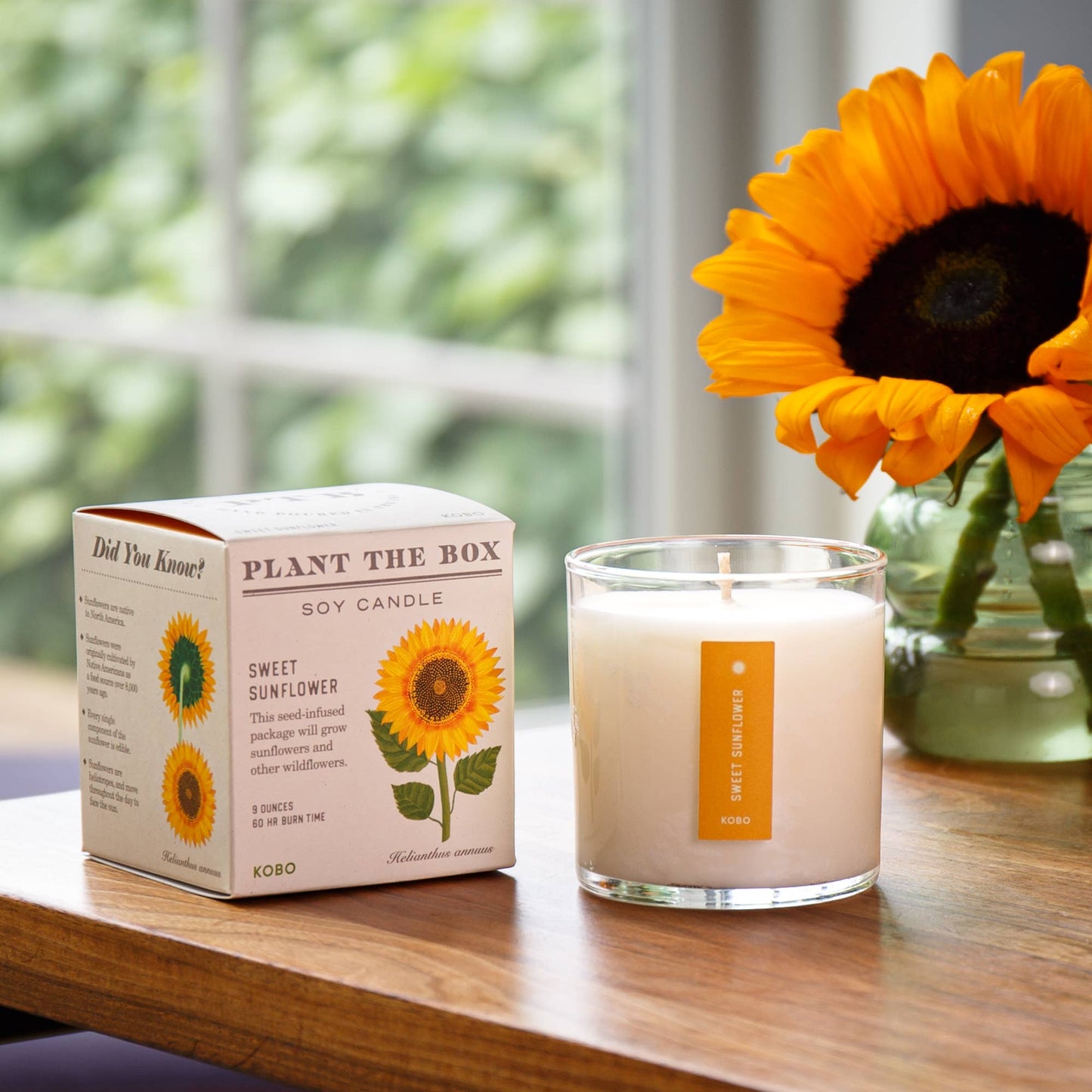 KOBO - Sweet Sunflower - Plant the Box Candle - 9oz.