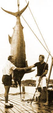 Hemingway "The Marlin" Seafood Seasoning