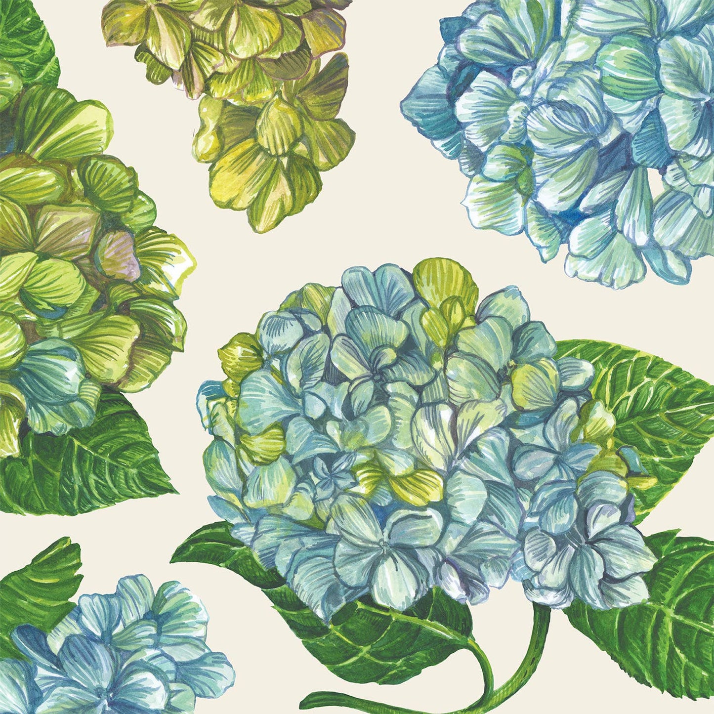 Hester & Cook - Stationery - Hydrangea Cocktail Napkin - Pack of 20