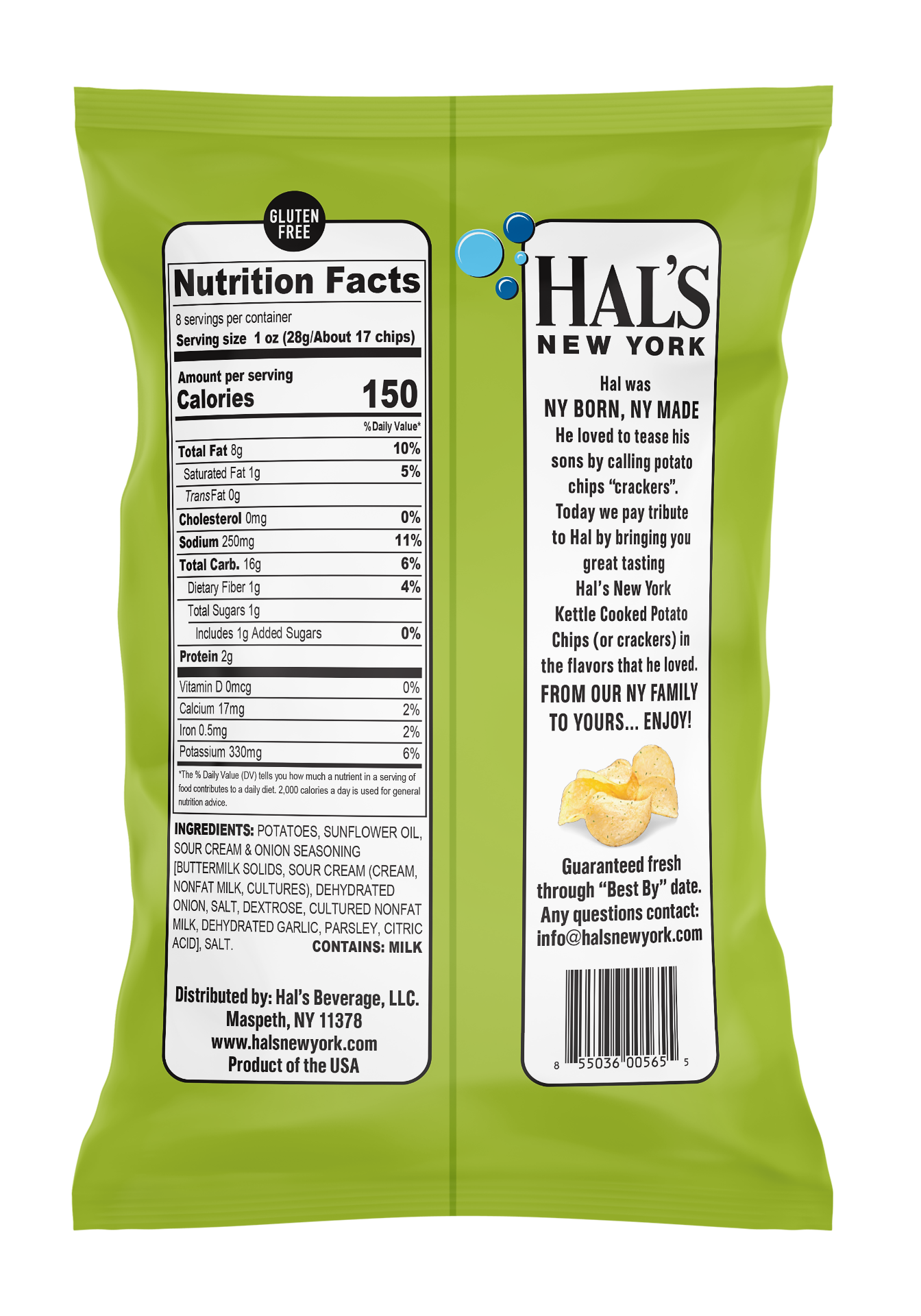 Hal's New York - SOUR CREAM ONION X-LARGE BAG