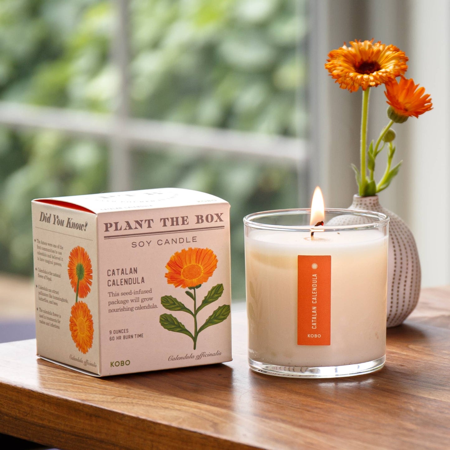 KOBO - Catalan Calendula - Plant the Box Candle - 9oz.