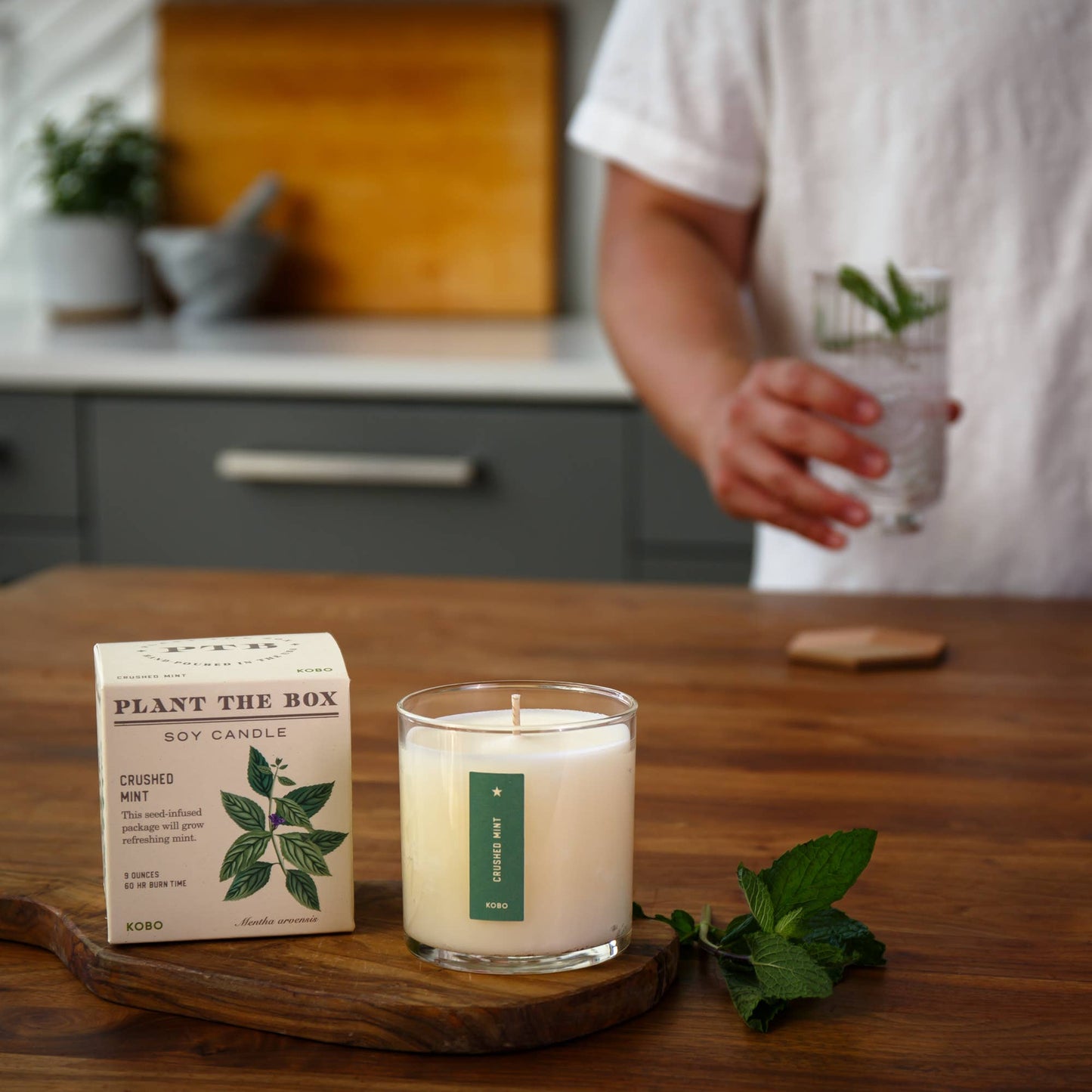 KOBO - Crushed Mint - Plant the Box Candle - 9oz.