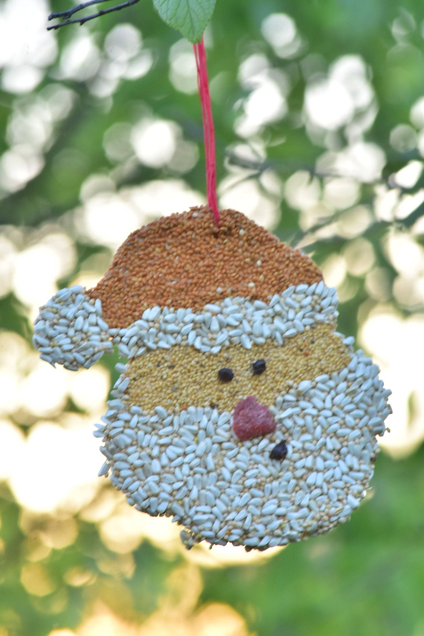 Mr Bird - Santa Christmas Cookie