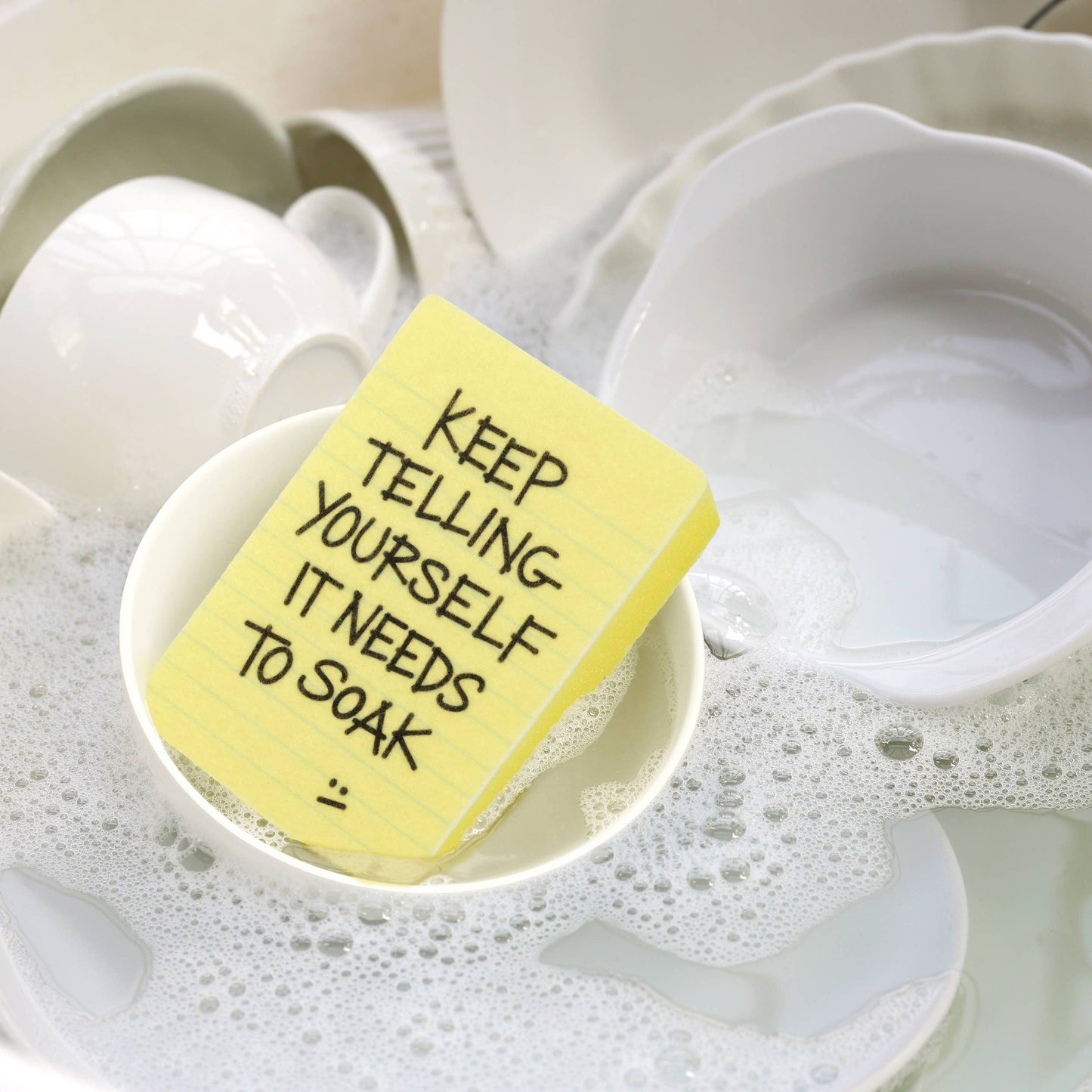 Sponges - CLEAN CONSCIENCE - Passive Aggressive Notes