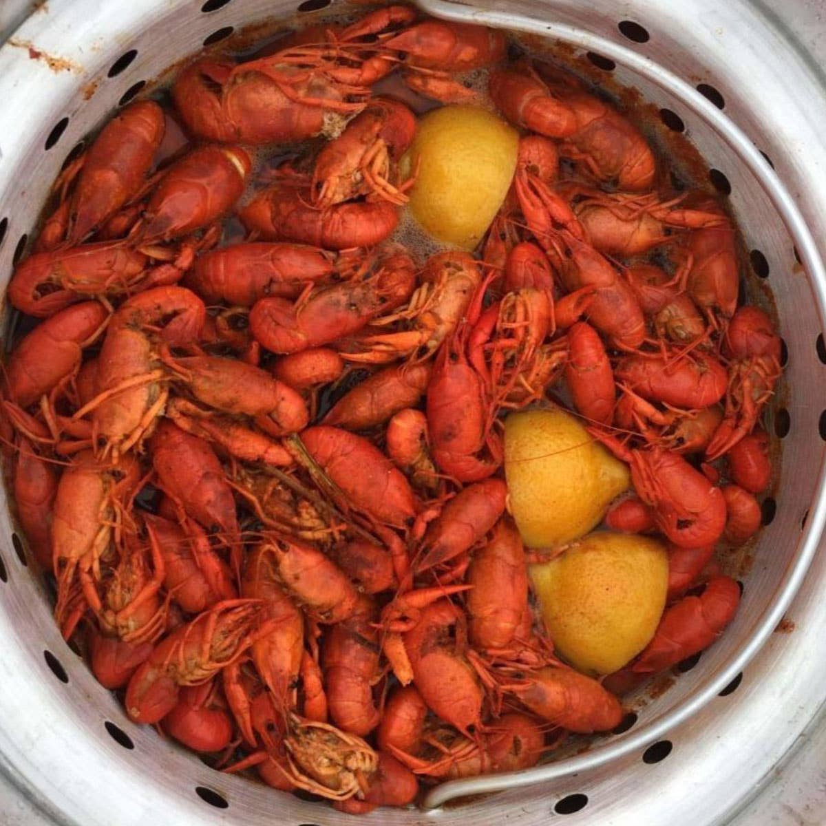 Grill Your Ass Off - Spices, Rubs, Seasonings, Sauces, Jerky - Napalm Crawfish & Seafood Boil™ - Bold Cajun Flavor