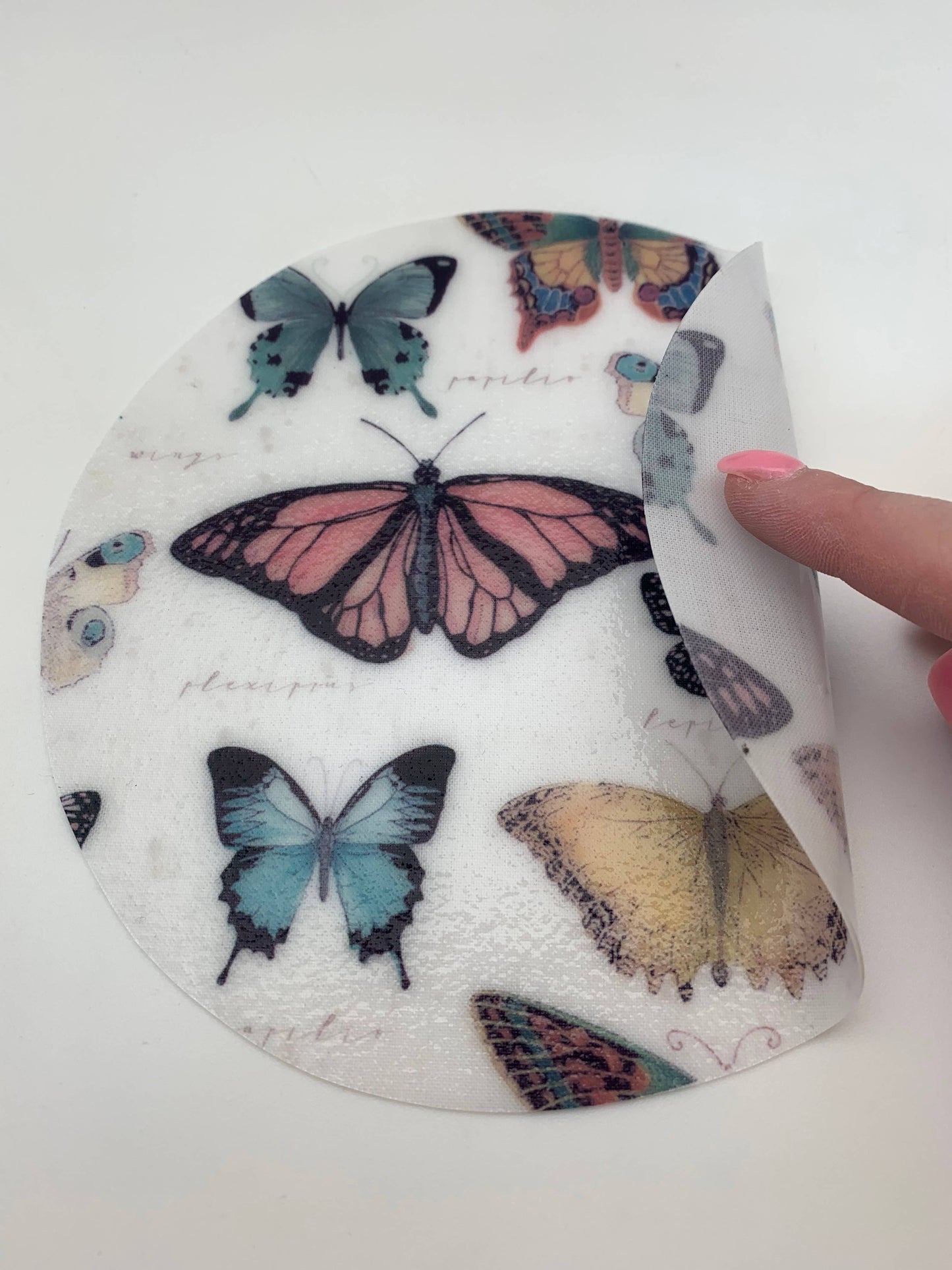 Andreas - GG Butterfly