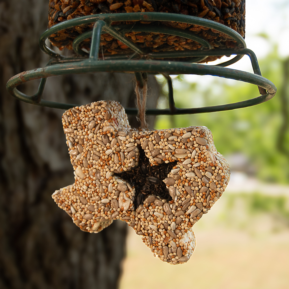 Mr Bird - Lone Star Seed Treat