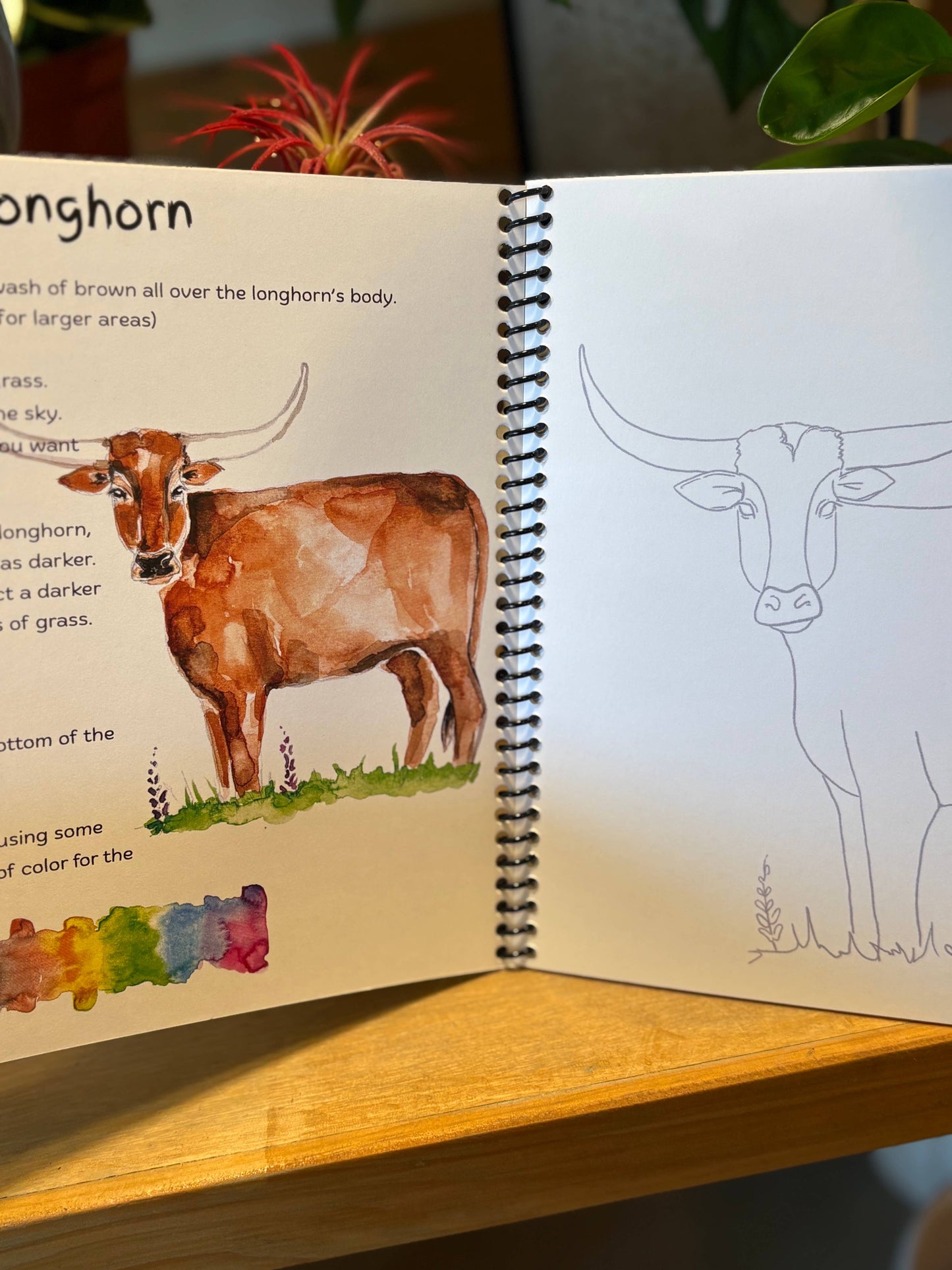 Texas Watercolor Workbook 