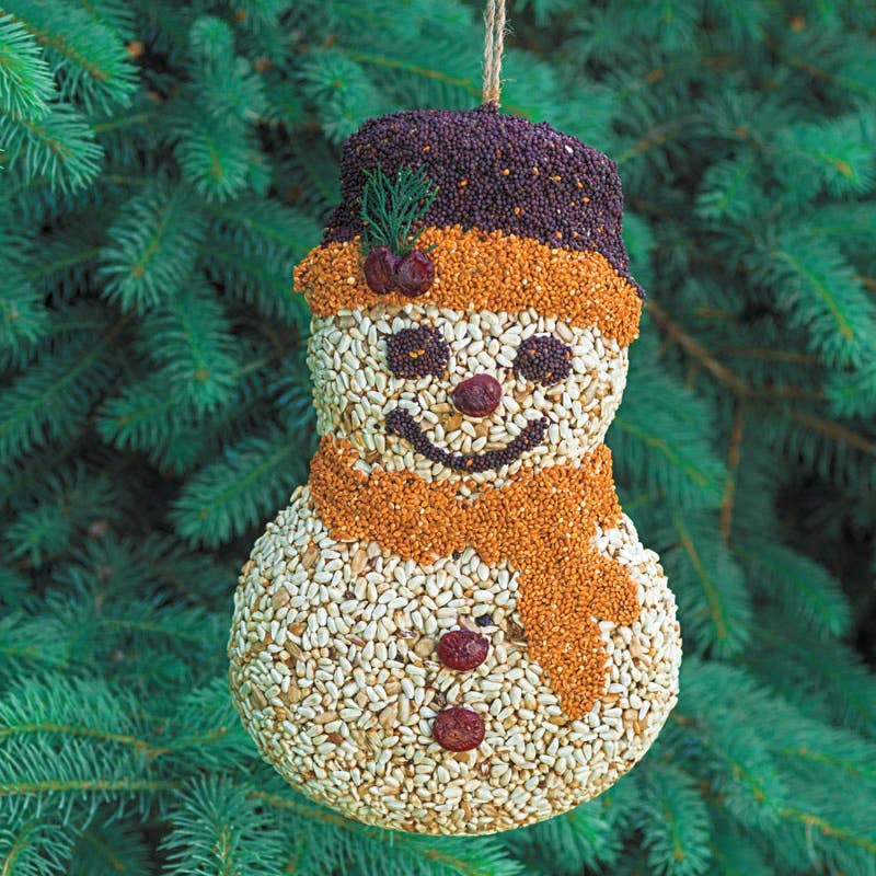 Mr Bird - Frosty Snowman