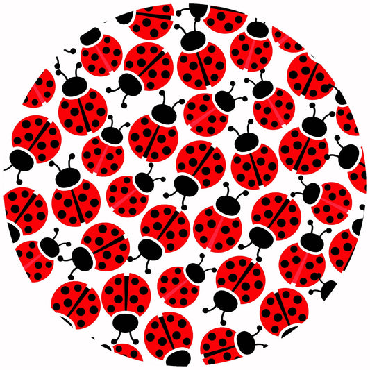 Andreas - Diddle Bug