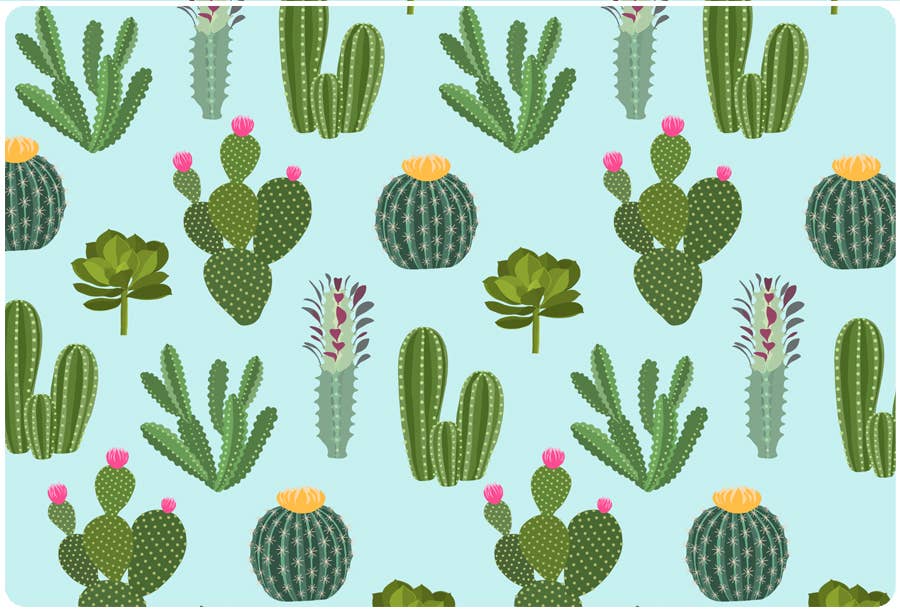 Andreas - RR Desert Wonder
