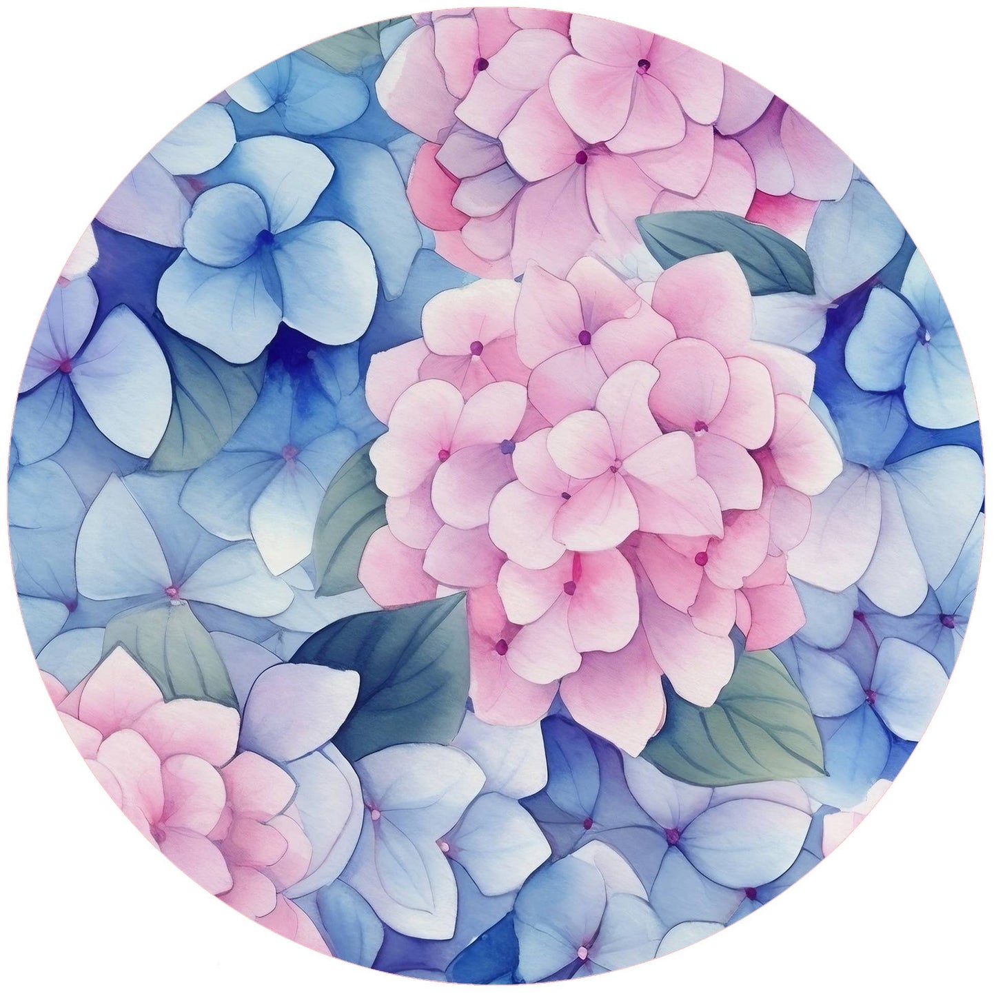 Andreas - Hydrangea