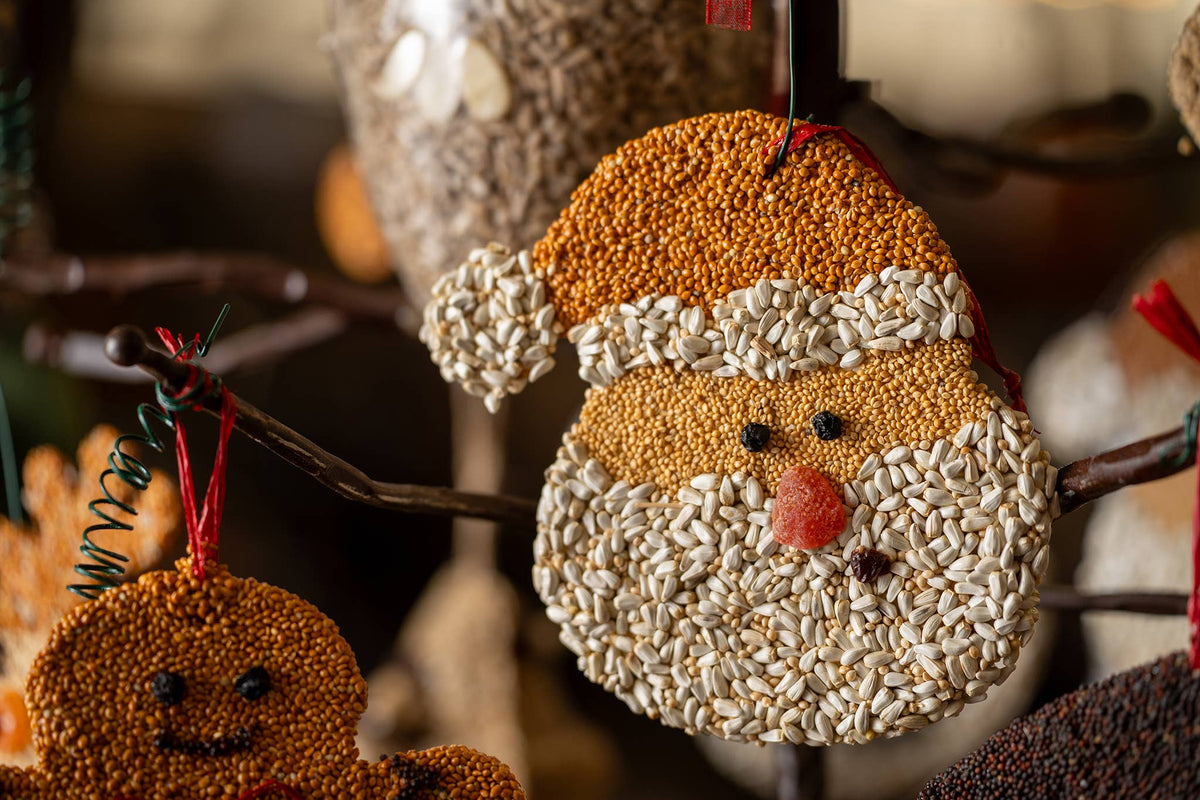 Mr Bird - Santa Christmas Cookie