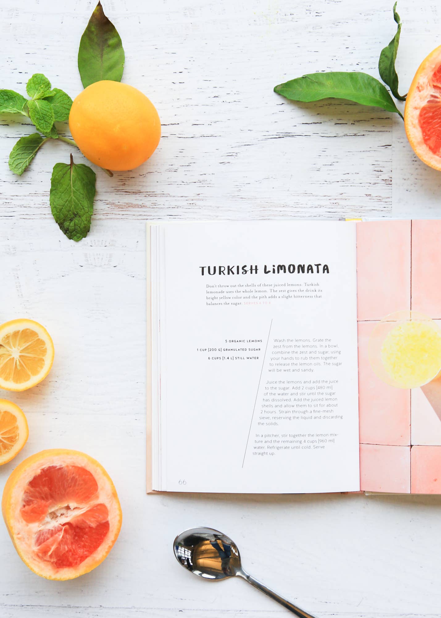 Chronicle Books - Lemonade with Zest