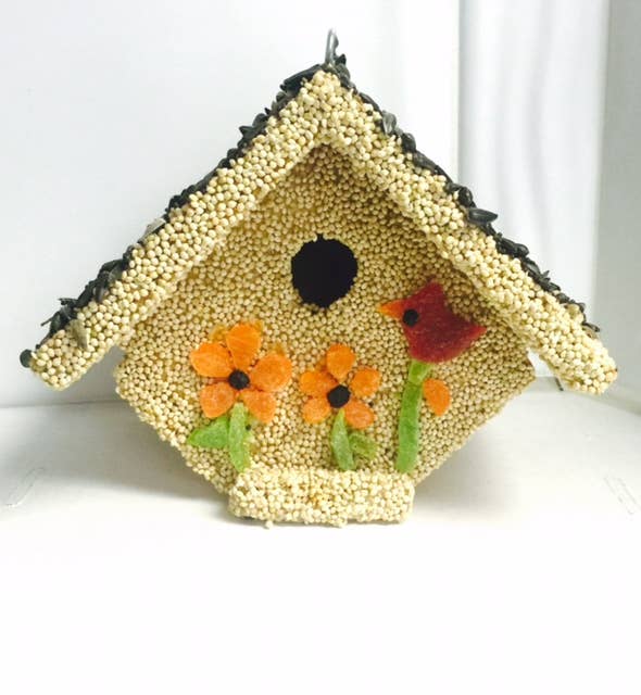 Mr Bird - Spring Fruit Casita