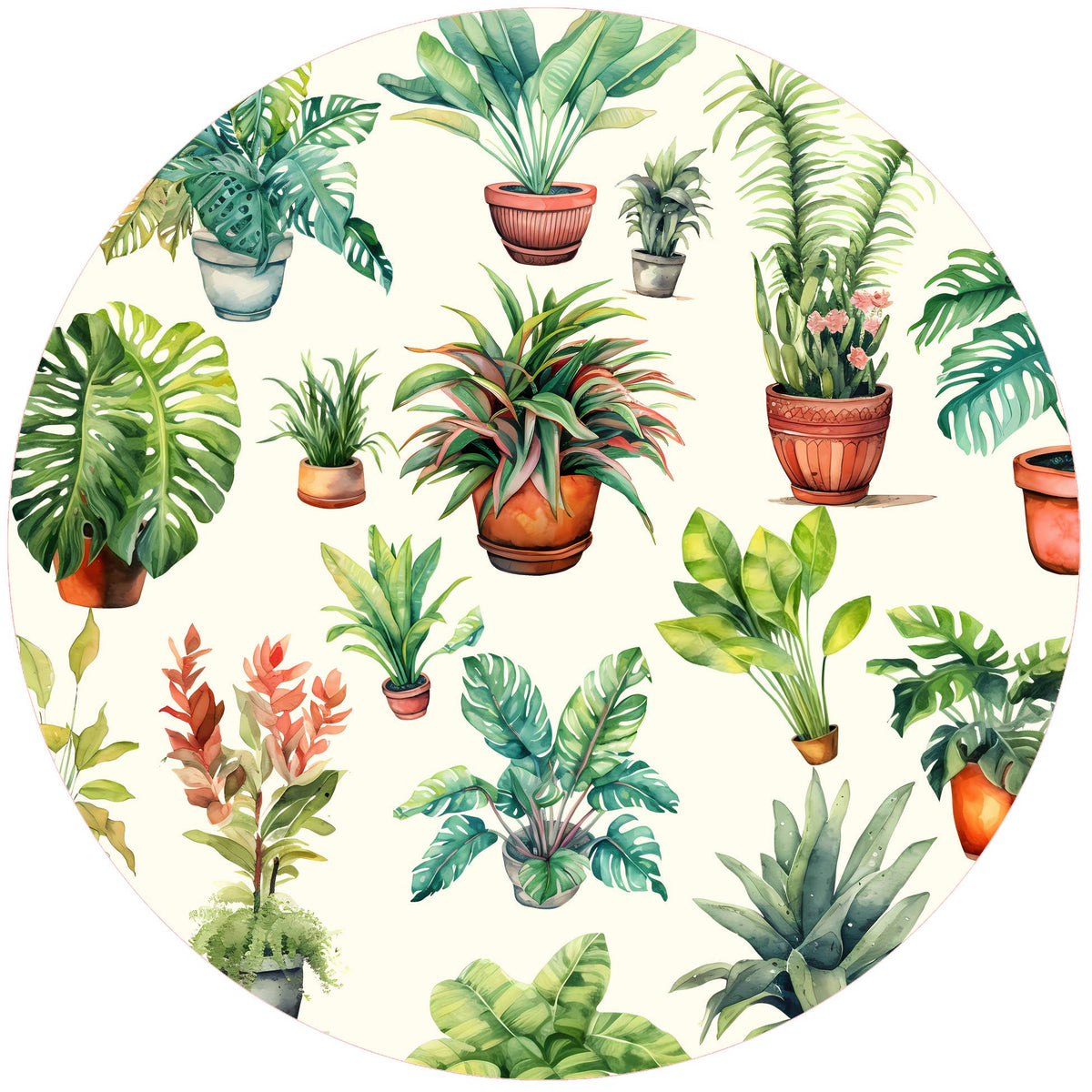 All Over Plants