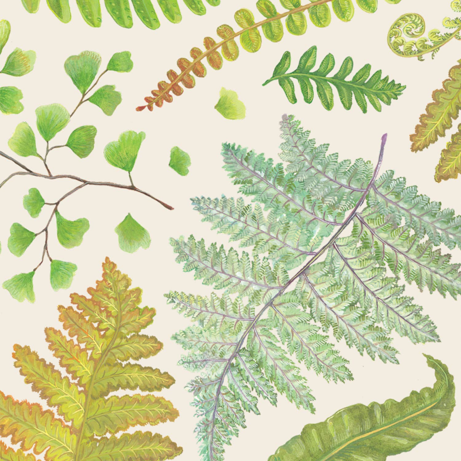 Hester & Cook Fern Cocktail Napkin - Thumbnail 2