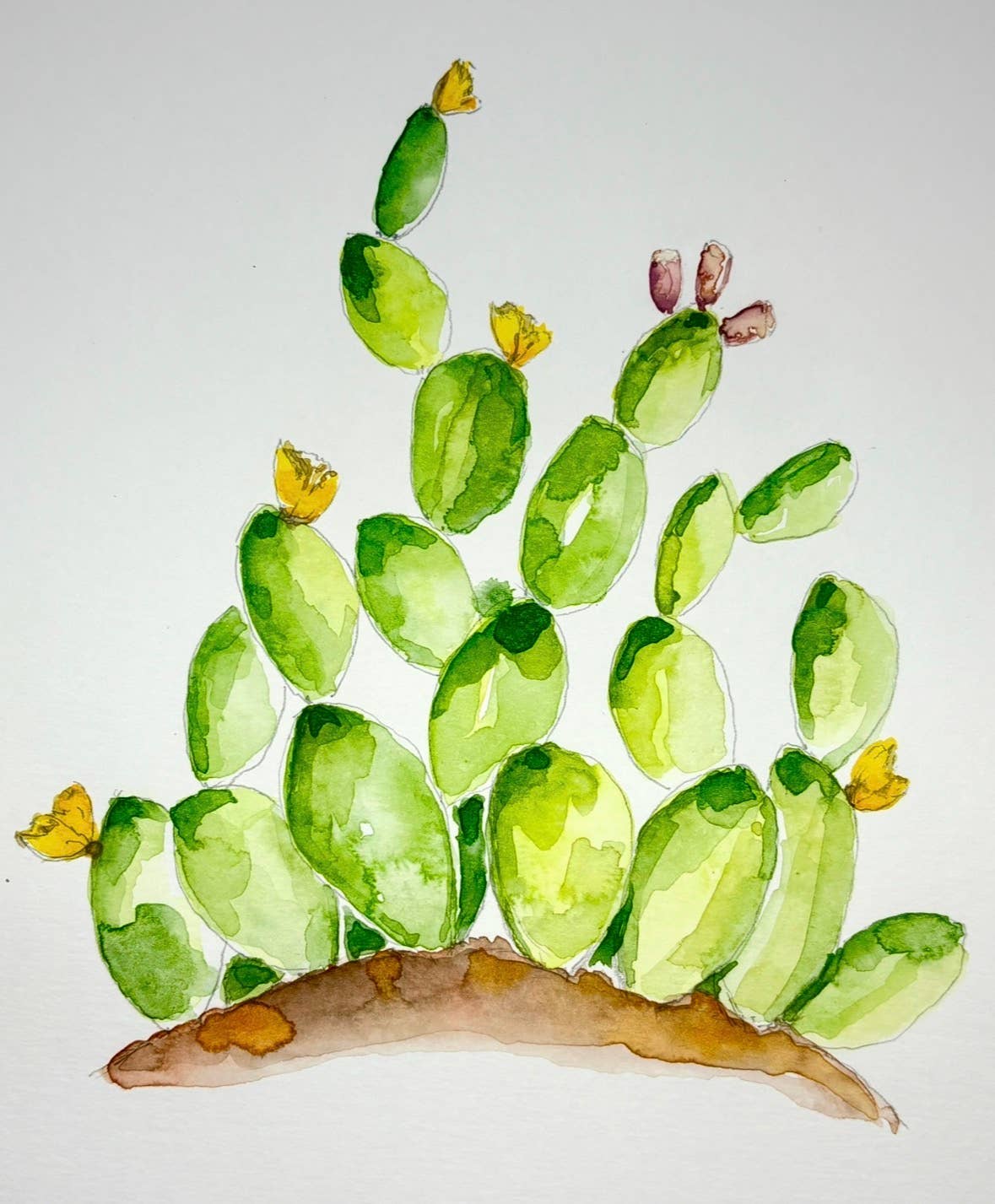 Texas Watercolor Workbook 