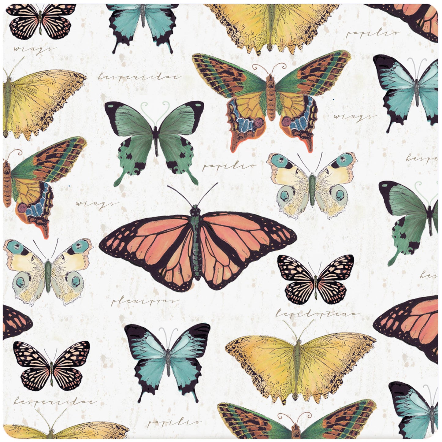 Andreas - GG Butterfly
