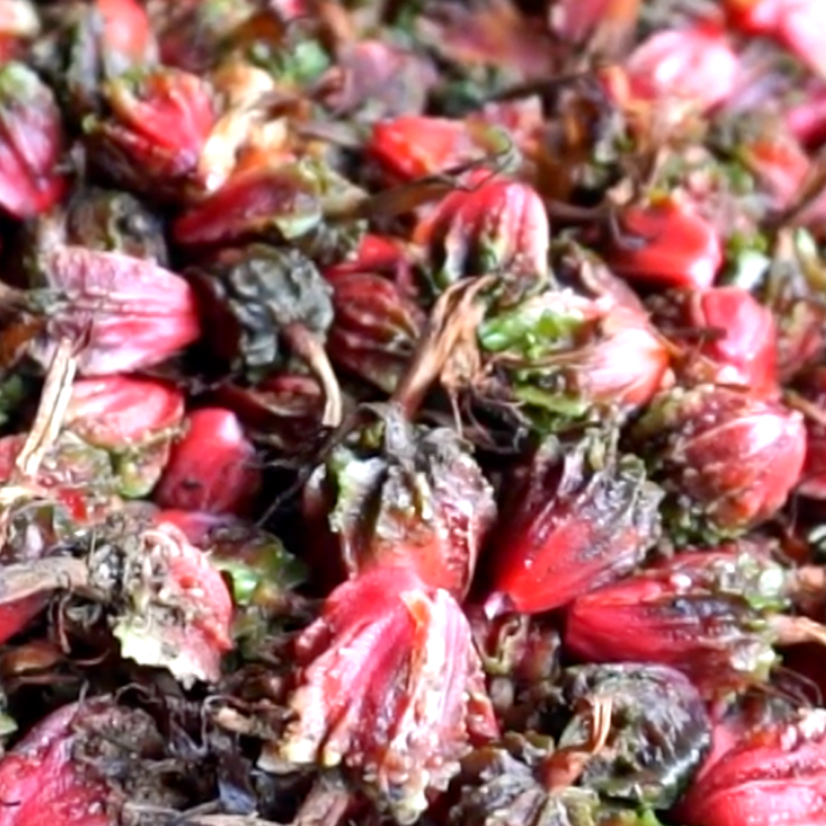 Burlap & Barrel - Smoked Black Cardamom - Single Origin Spice & Seasoning