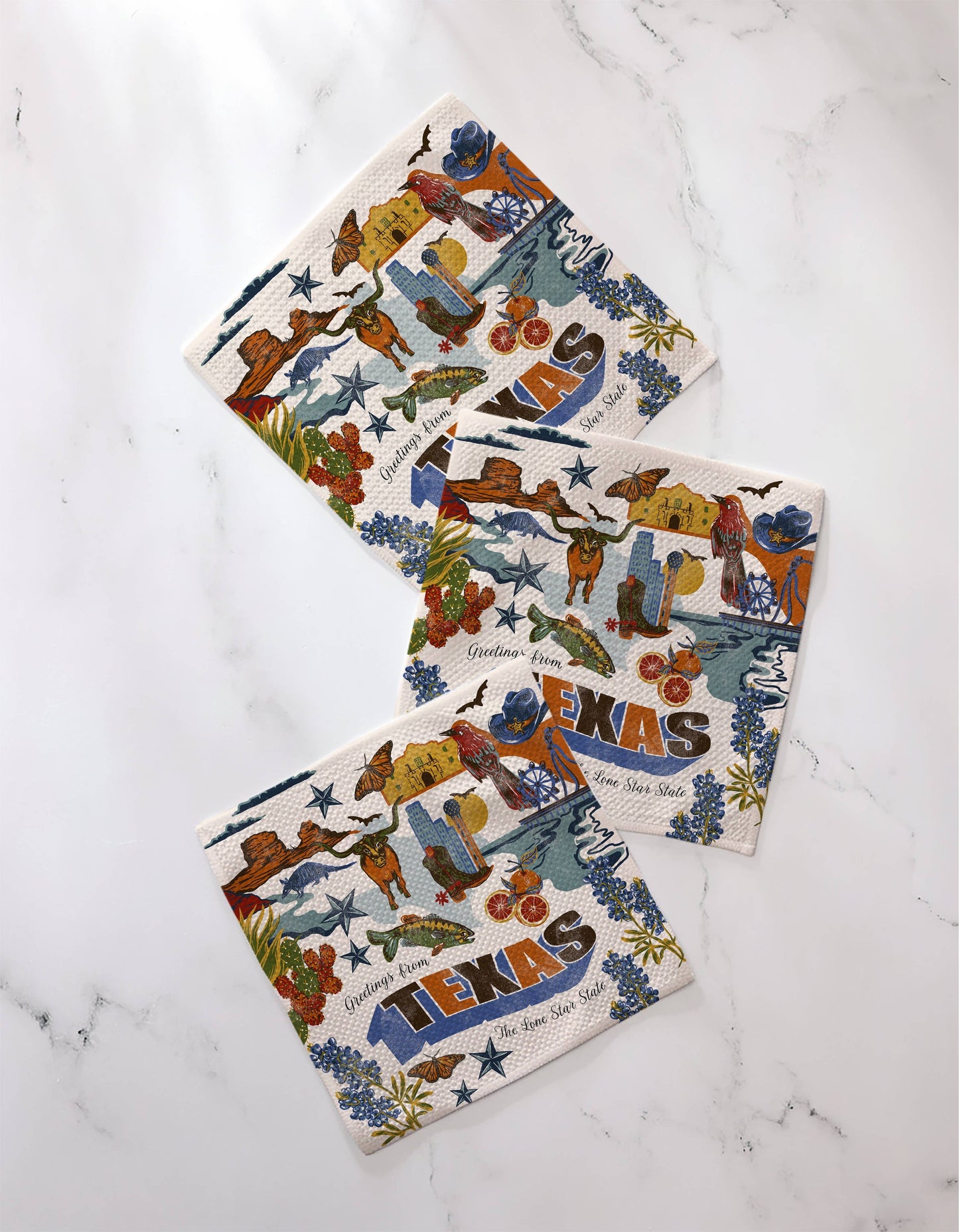 Geometry - Greetings From Texas Dishcloth Set
