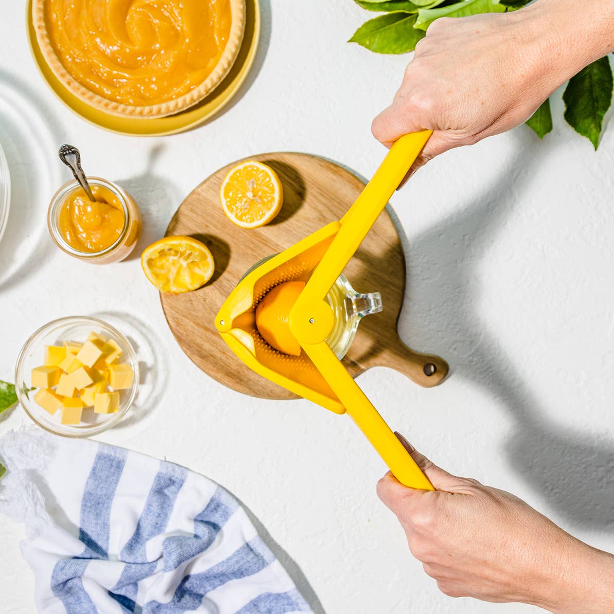 Fluicer Lemon - Fold Flat Easy Juicer - CDU