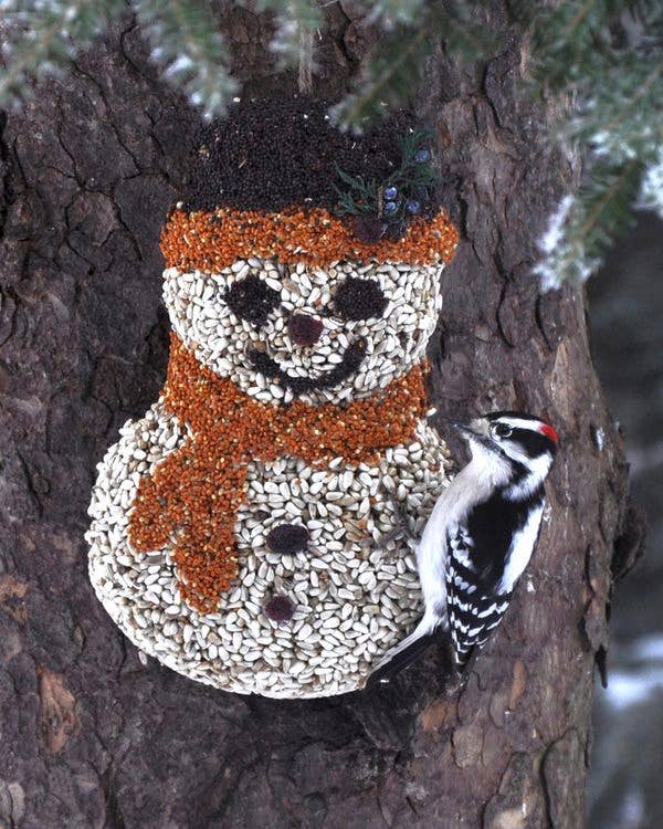 Mr Bird - Frosty Snowman