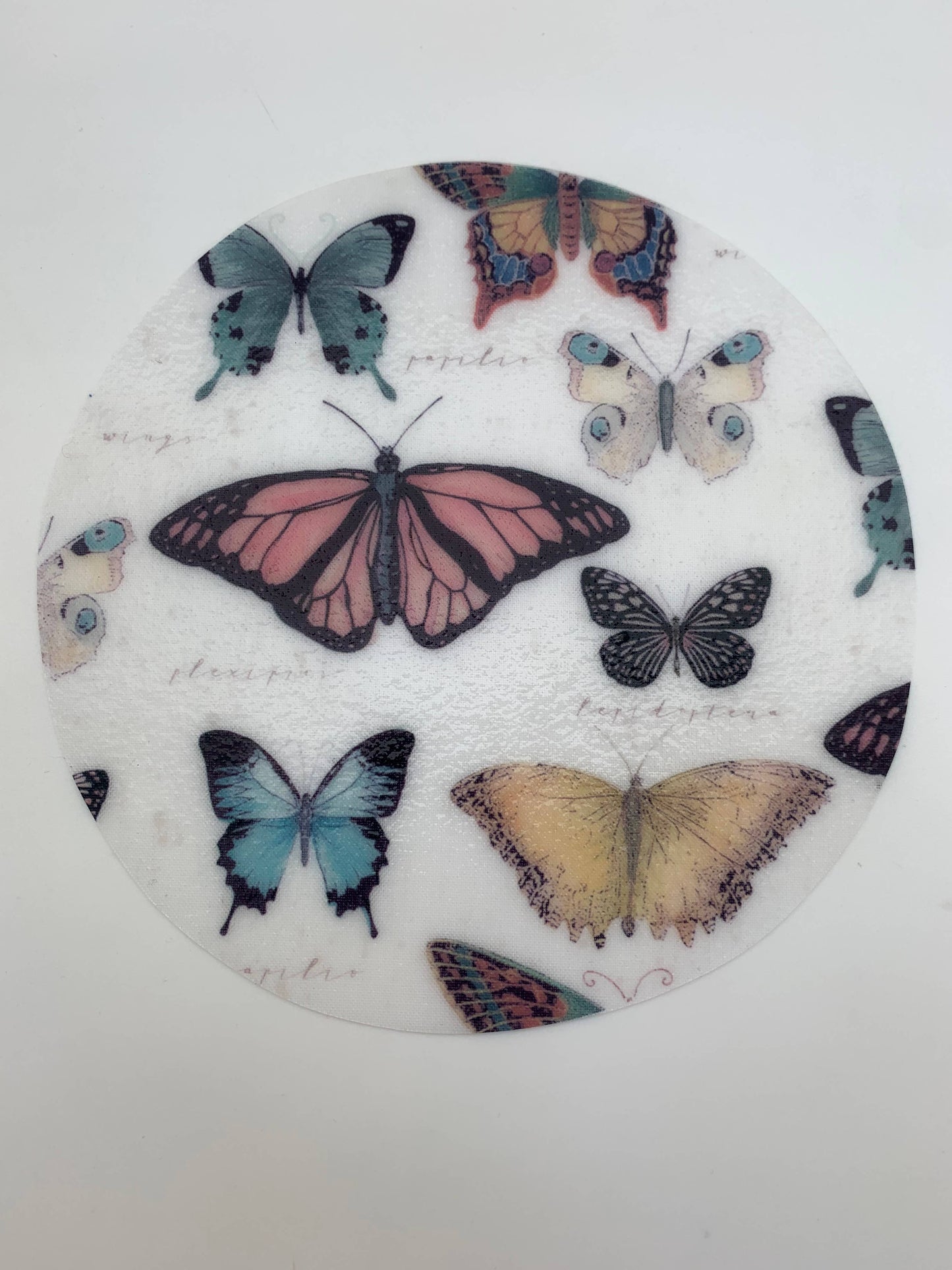 Andreas - GG Butterfly
