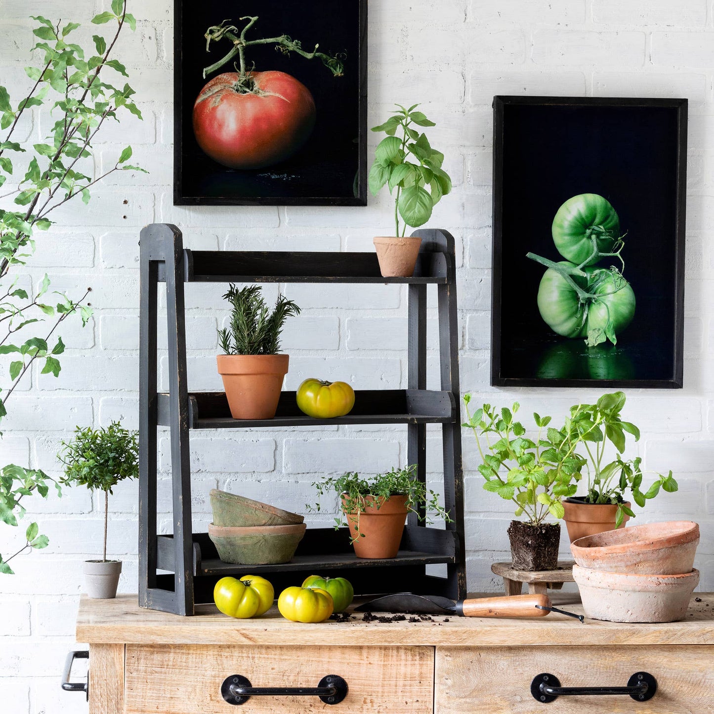 Park Hill Collection - Promo Park Hill Collection Wooden Herb Rack