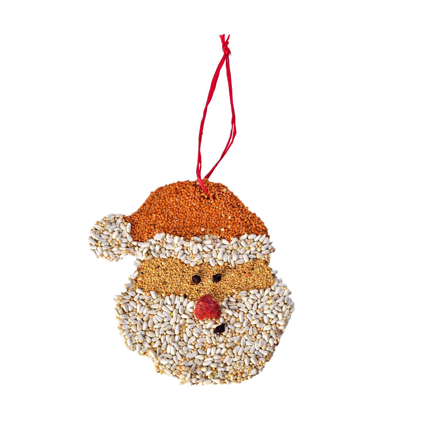 Mr Bird - Santa Christmas Cookie