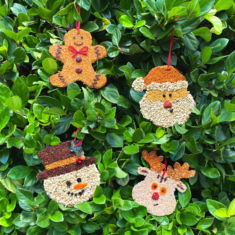 Mr Bird - Santa Christmas Cookie